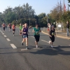 MF_2014 1